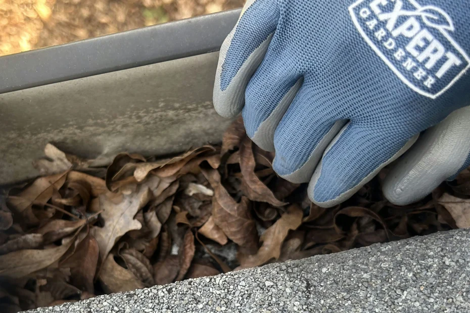 Gutter Cleaning Melissa TX